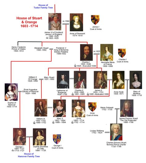 tudor windsor stuart|tudor and stuart family tree.